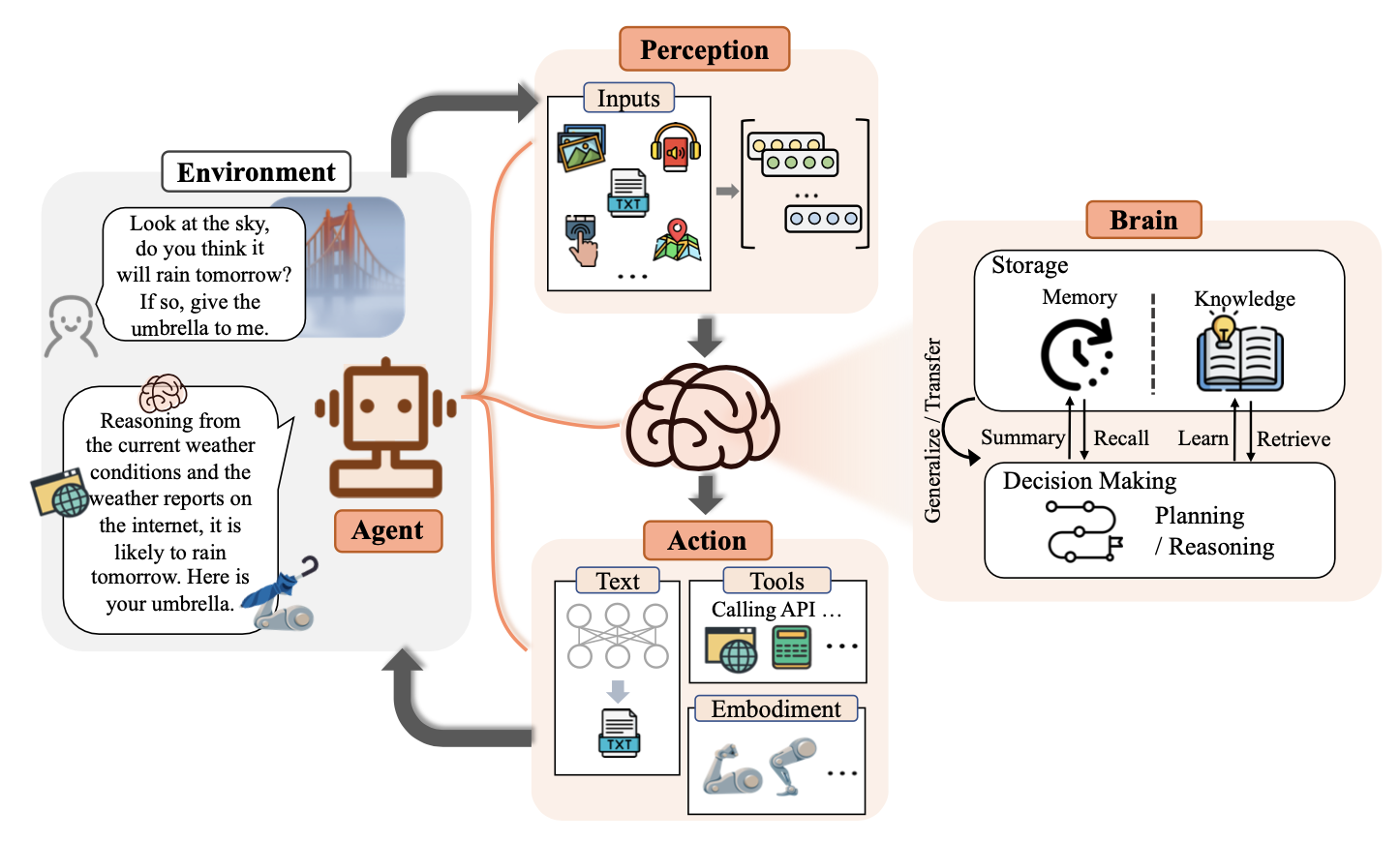 Diagram of agent components showing perception, inputs; action, text, tools; and brain, memory knowledge, decision making.
